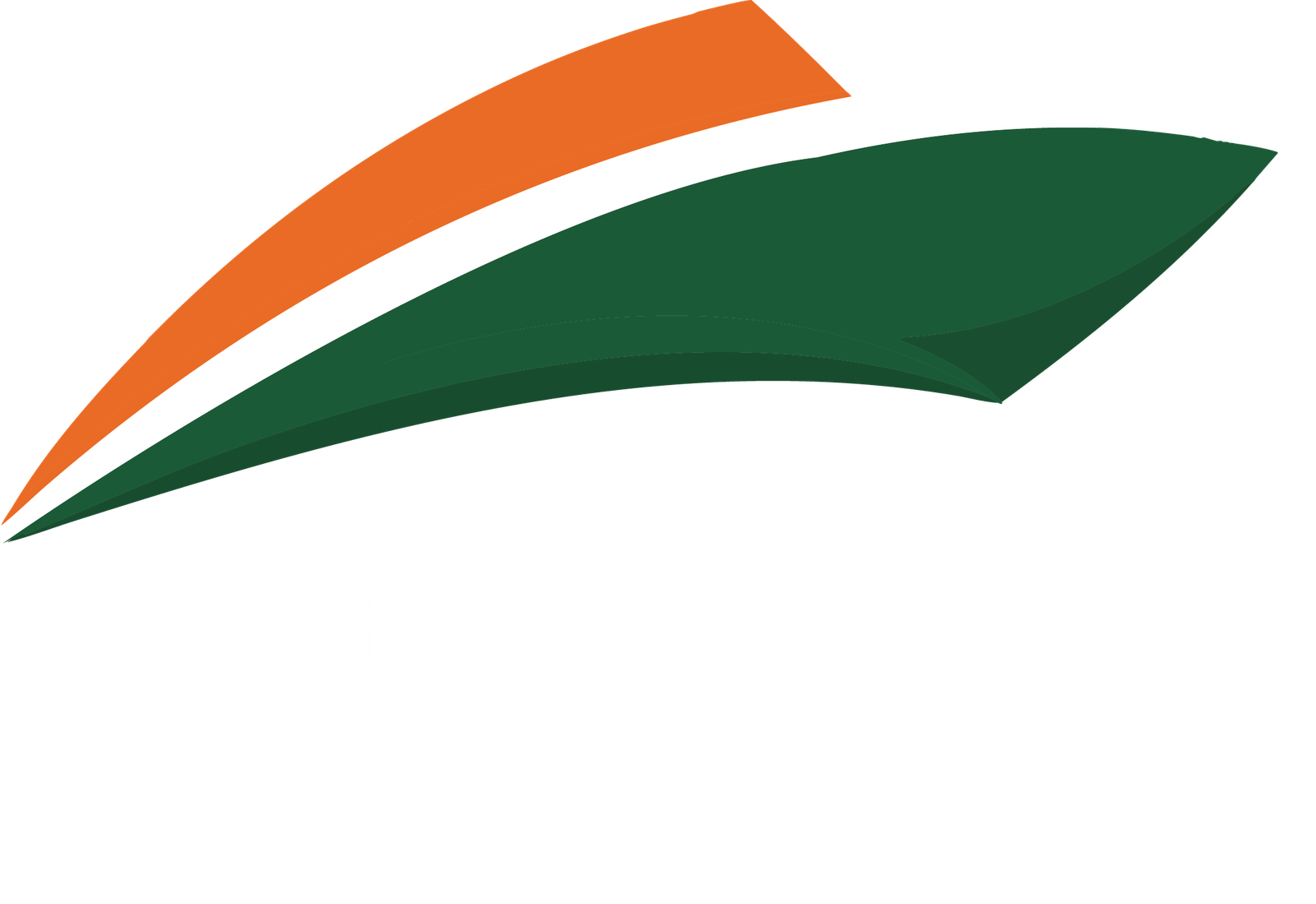 BDIL Logo